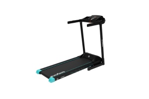 Miniatura Bodytone Active 200